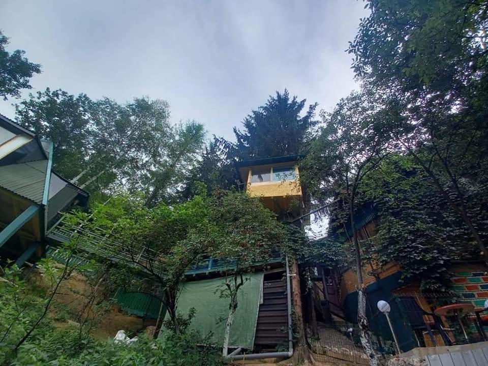 Tree House Apartment Visoko Luaran gambar